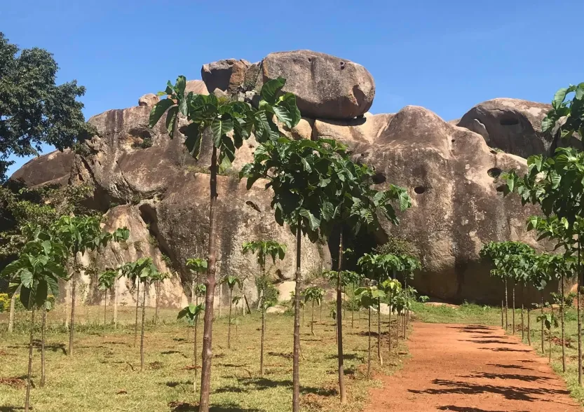 Nyero Rock Paintings