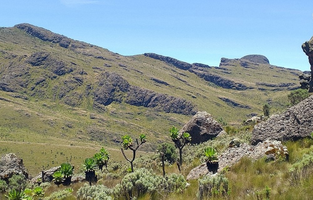 Mount Elgon National Park